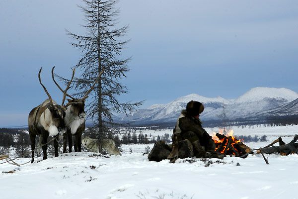 Кадры из Волк (2009)