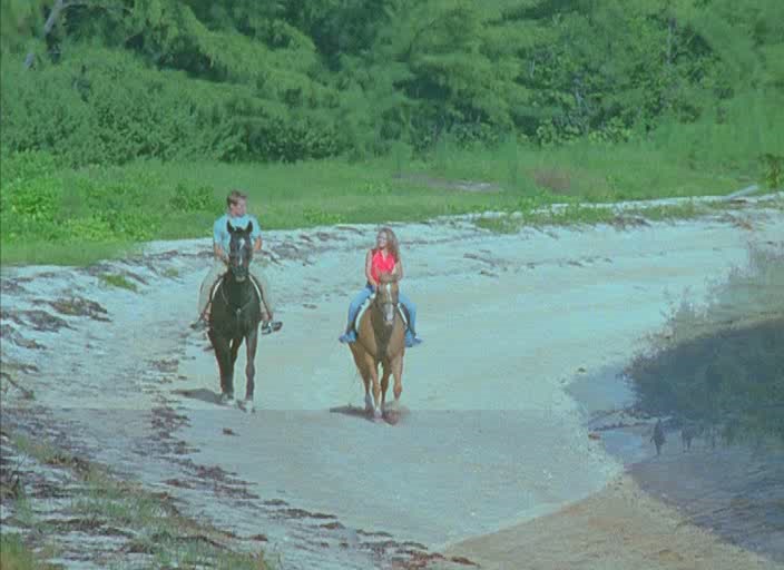 Кадры из Солнечные каникулы (2001)