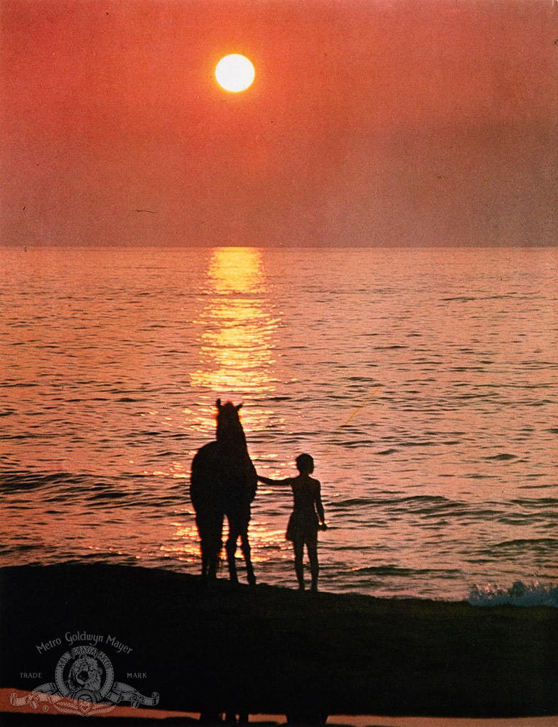Кадры из Черный скакун (1979)