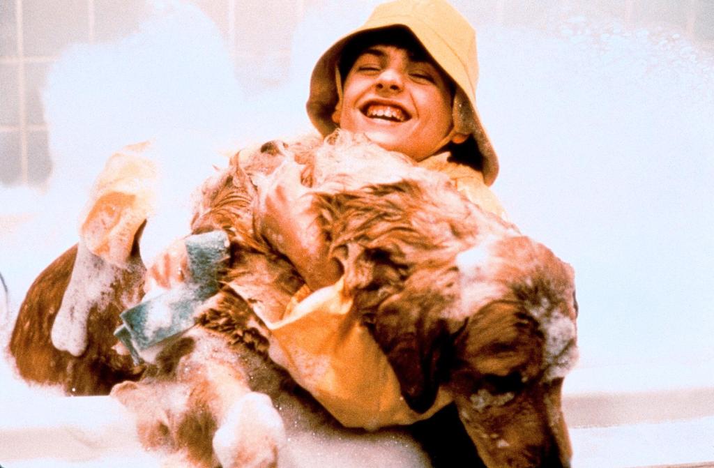 Кадры из Король воздуха (1997)