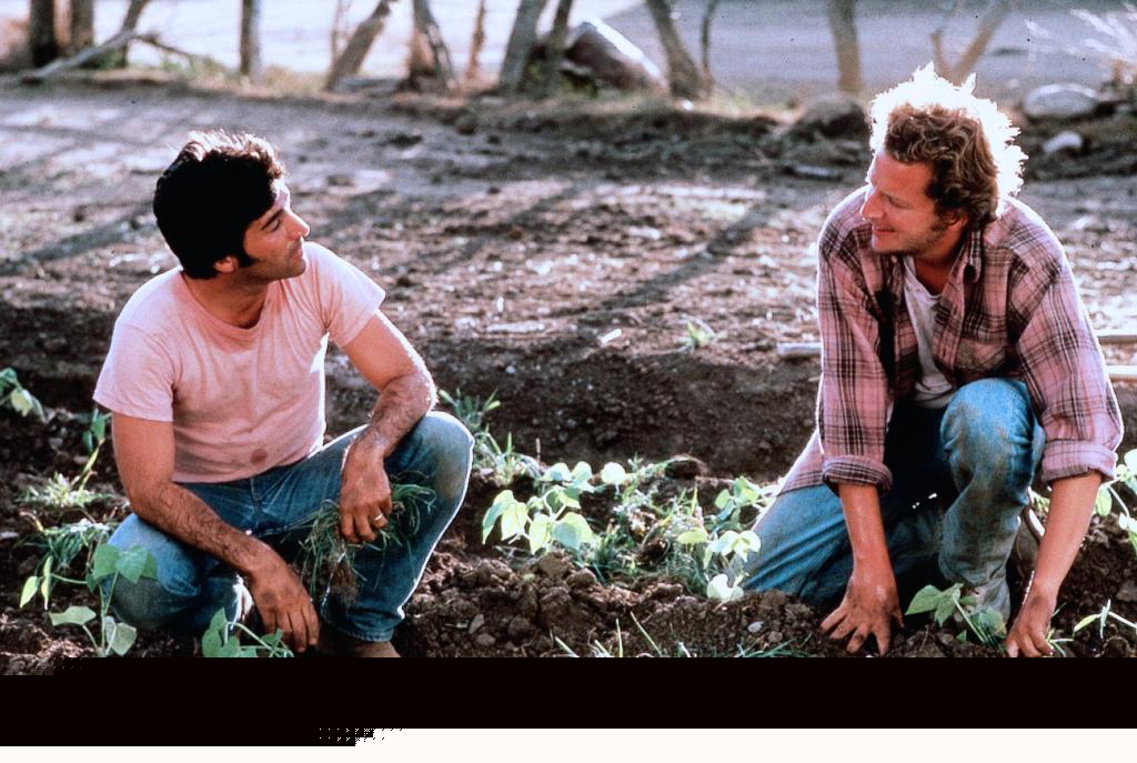 Кадры из Война на бобовом поле Милагро (1988)