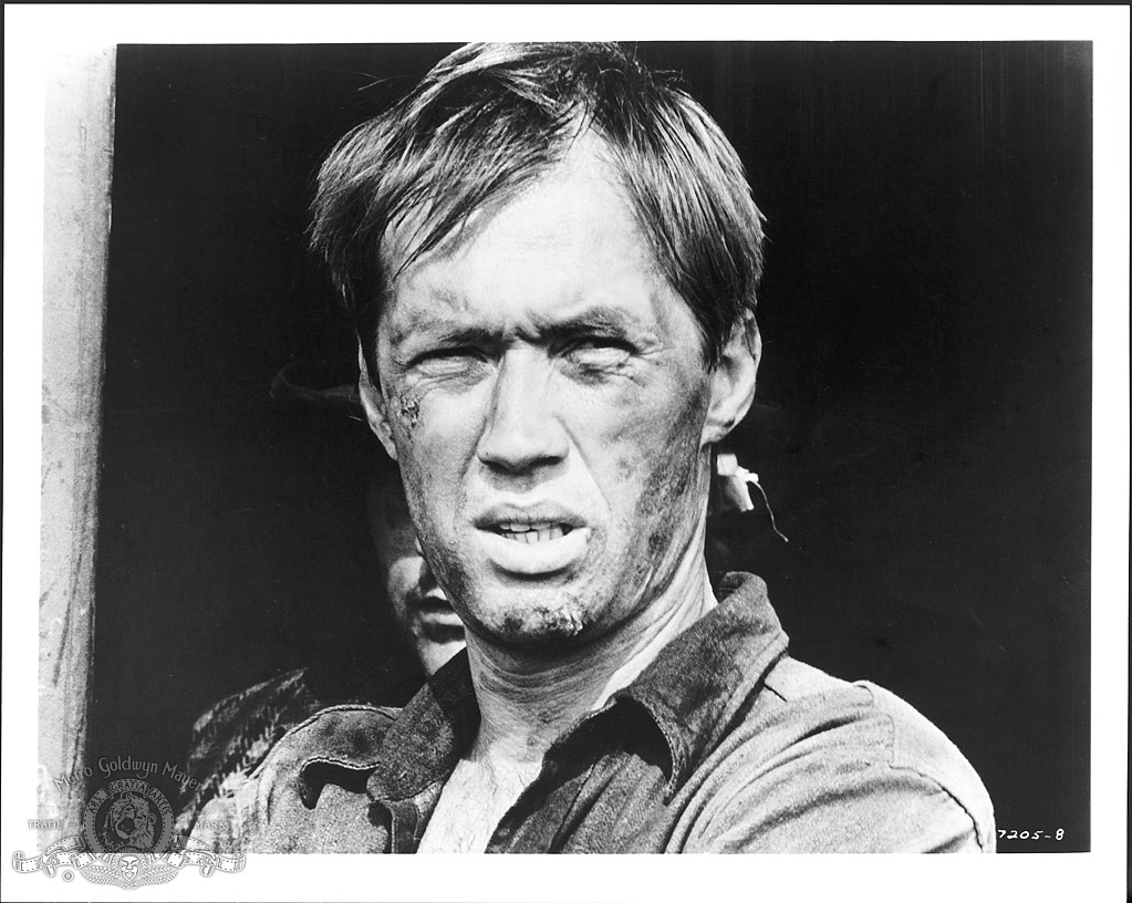 Кадры из Берта по прозвищу «Товарный вагон» (1972)