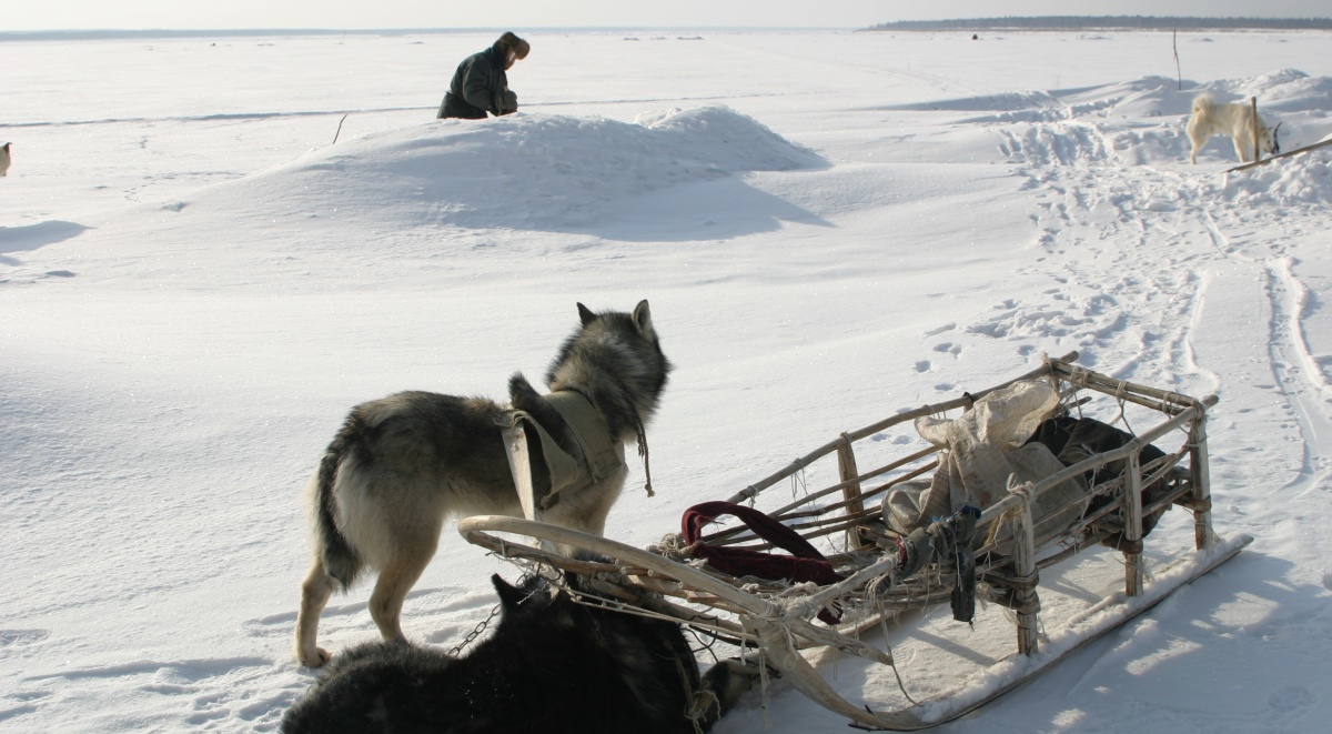 Кадры из Счастливые люди: Год в тайге (2011)