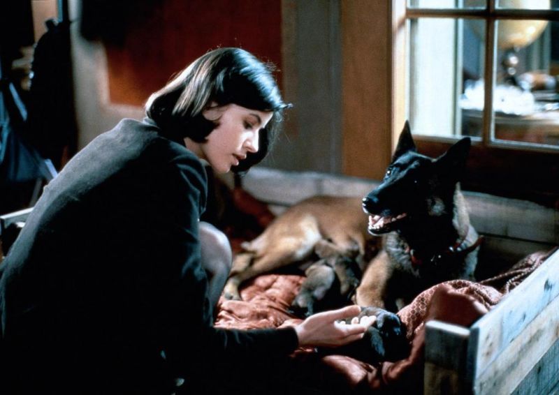Кадры из Три цвета: Красный (1994)