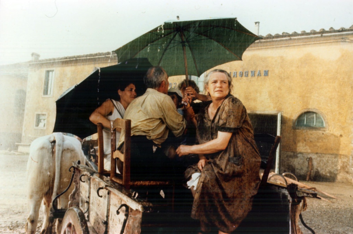 Кадры из Ночь Святого Лаврентия (1982)