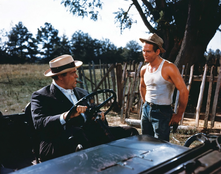 Кадры из Долгое жаркое лето (1958)