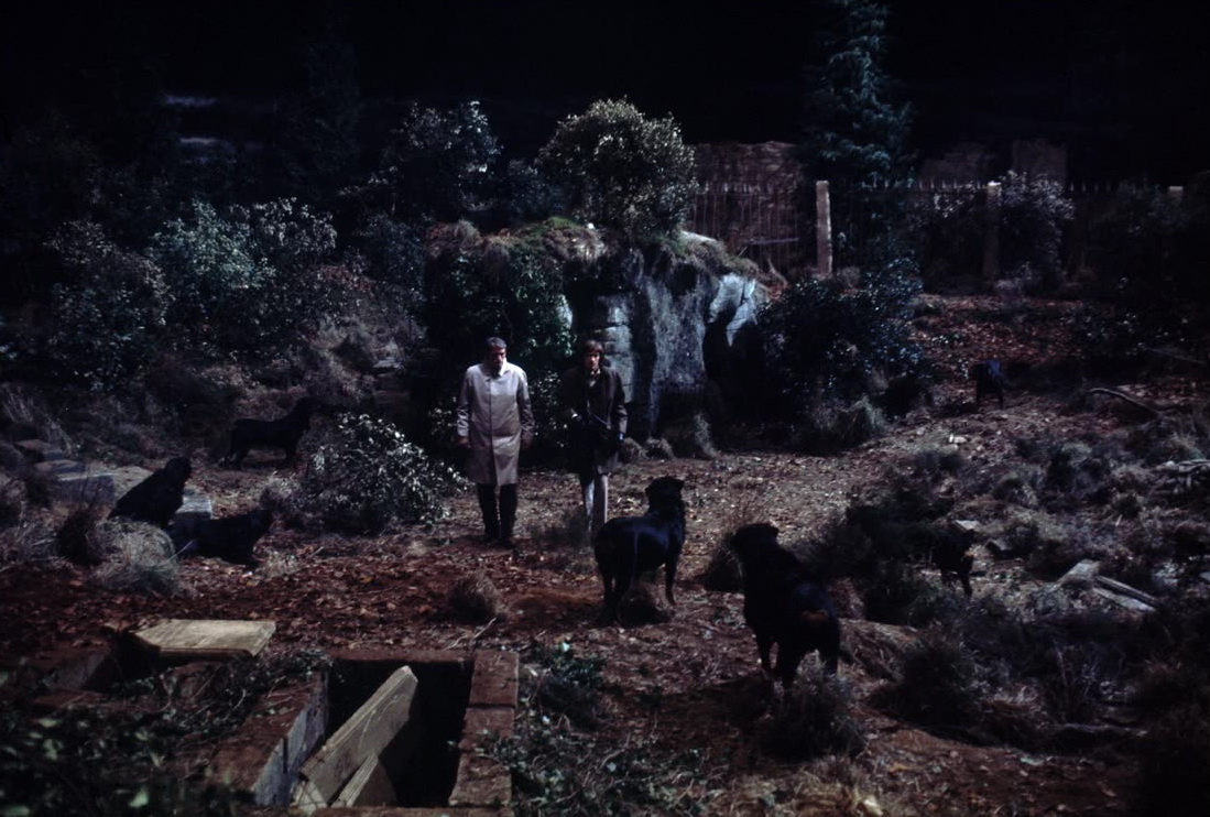 Кадры из Омен (1976)