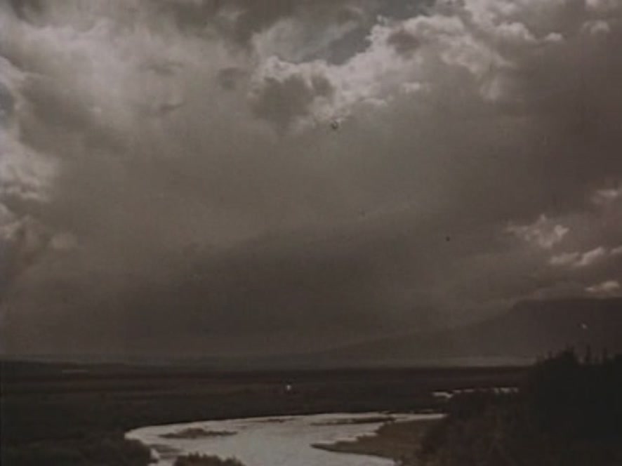 Кадры из Кавалер Золотой звезды (1951)