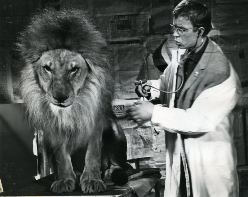 Кадры из Укротители велосипедов (1964)