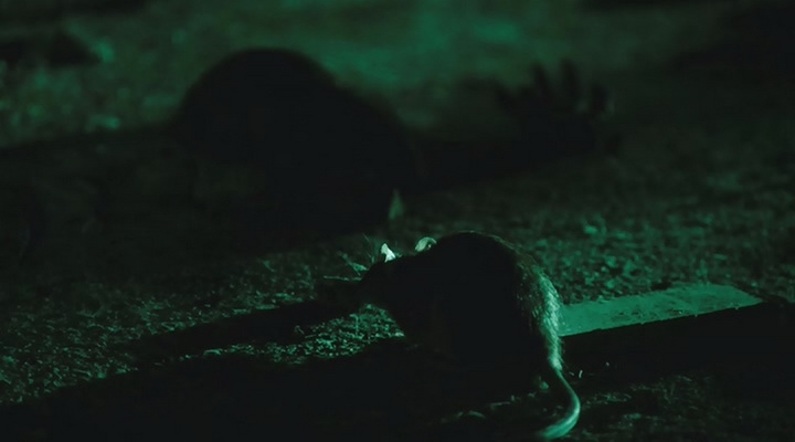 Кадры из Обезьянья лапа (2013)