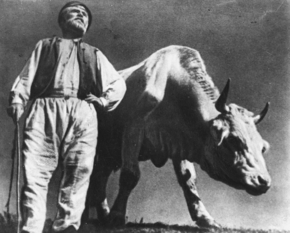 Кадры из Земля (1930)