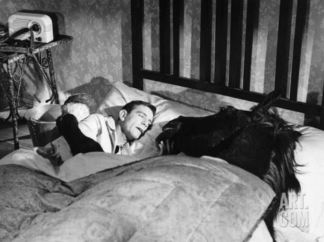 Кадры из Ранняя пташка (1965)