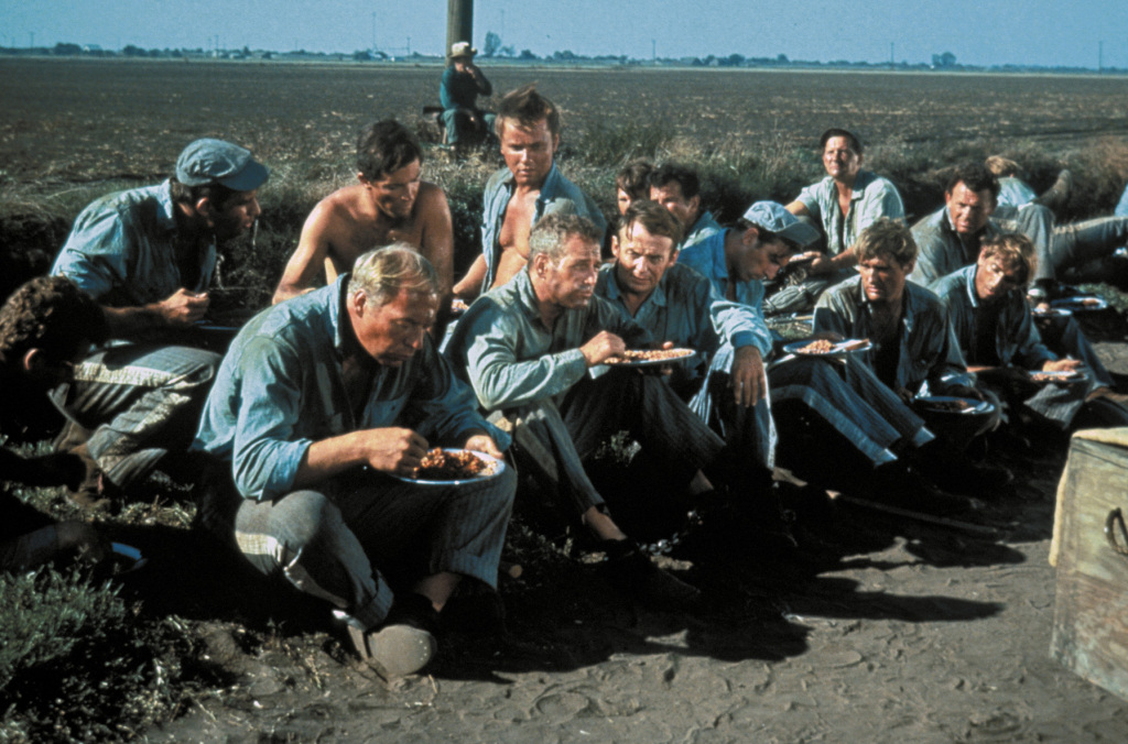 Кадры из Хладнокровный Люк (1967)