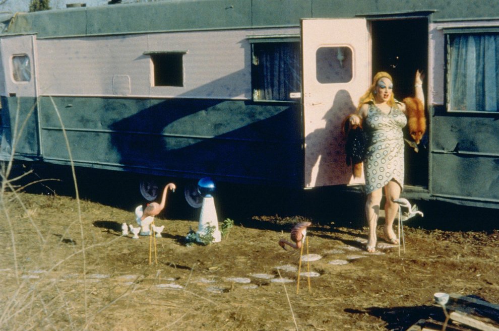 Кадры из Розовые фламинго (1972)