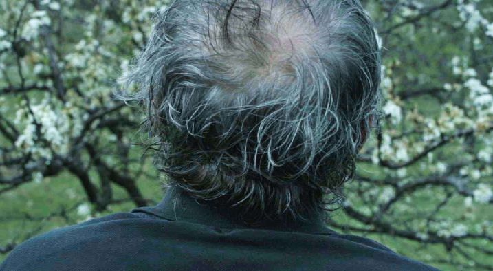 Кадры из Брат Дэян (2015)