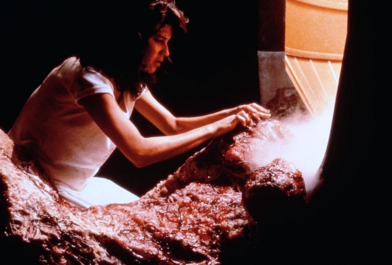 Кадры из Муха 2 (1989)