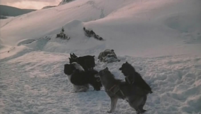 Кадры из Под северным сиянием (1990)