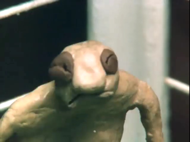 Кадры из Брэк! (1987)