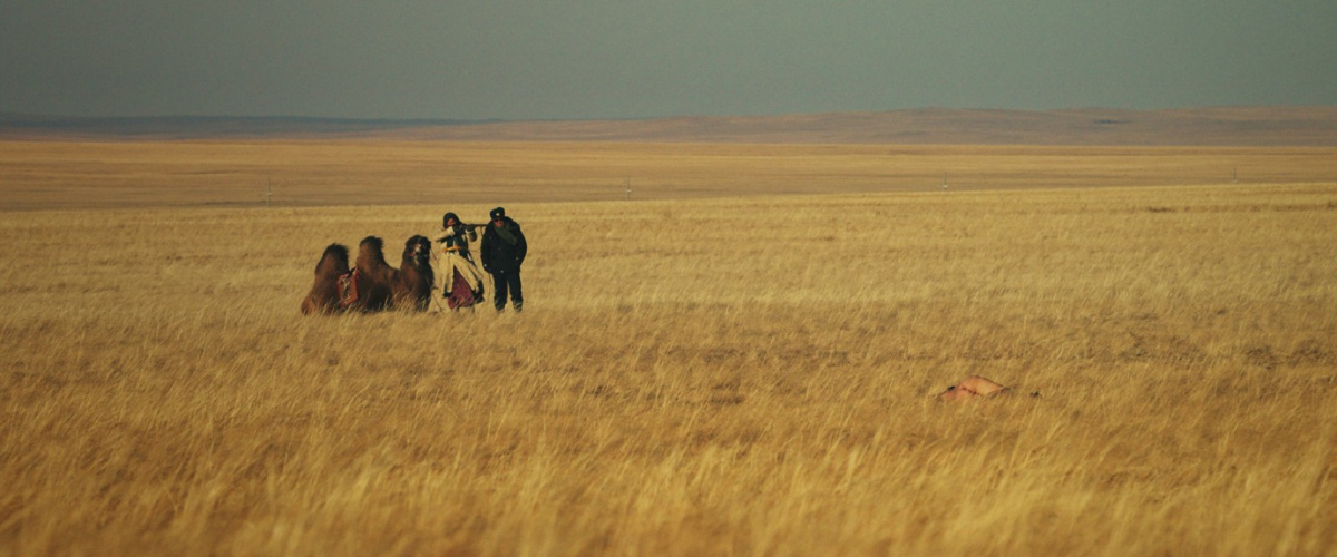 Кадры из Яйцо (2019)