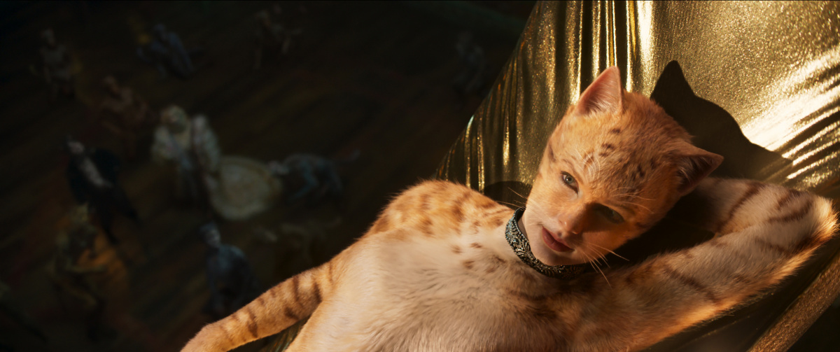 Кадры из Кошки (2019)
