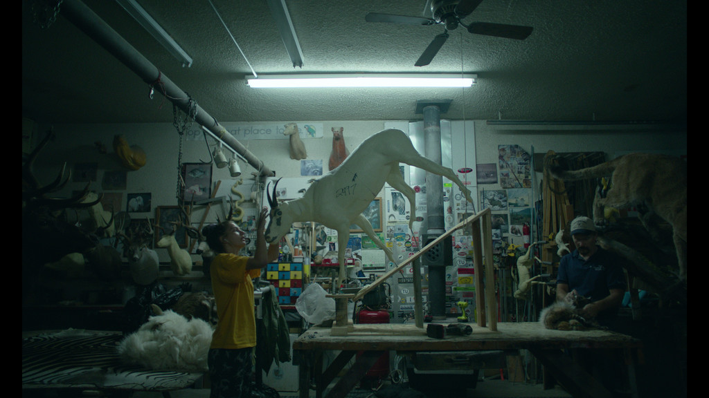 Кадры из Микки и медведь (2019)