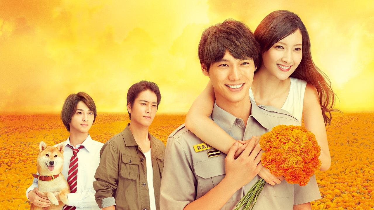 Кадры из 4 минуты бархатцев (2019)