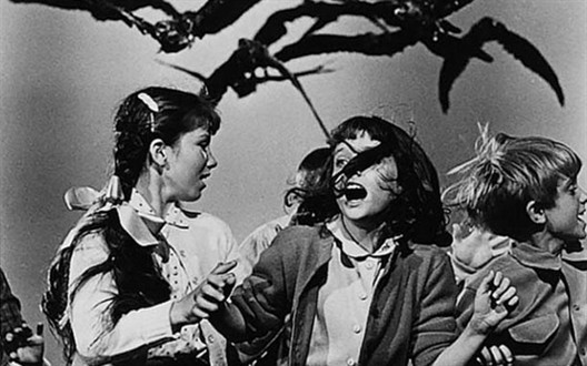 Кадры из Птицы (1963)