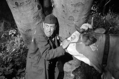 Кадры из Корова и солдат (1959)