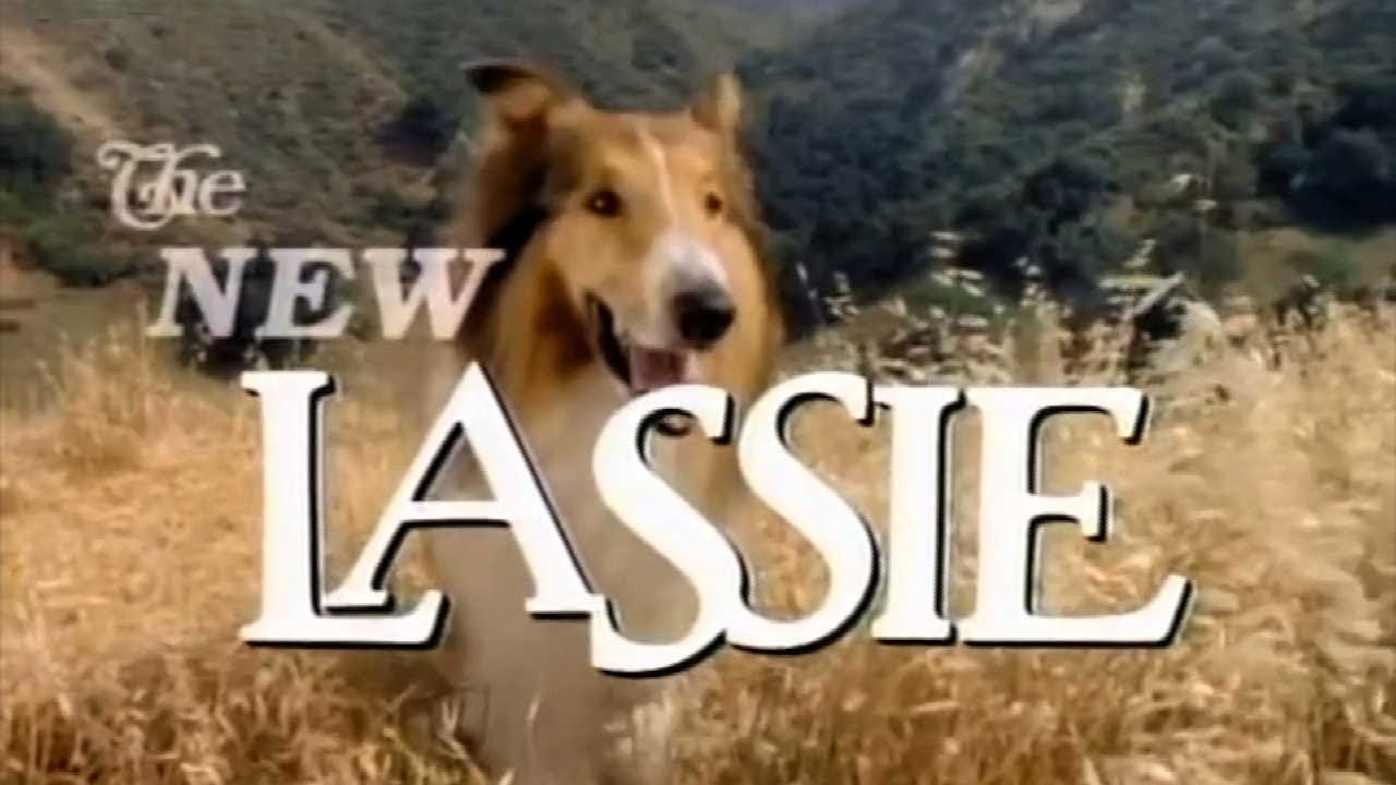 Кадры из Новые приключения Лесси (1989)