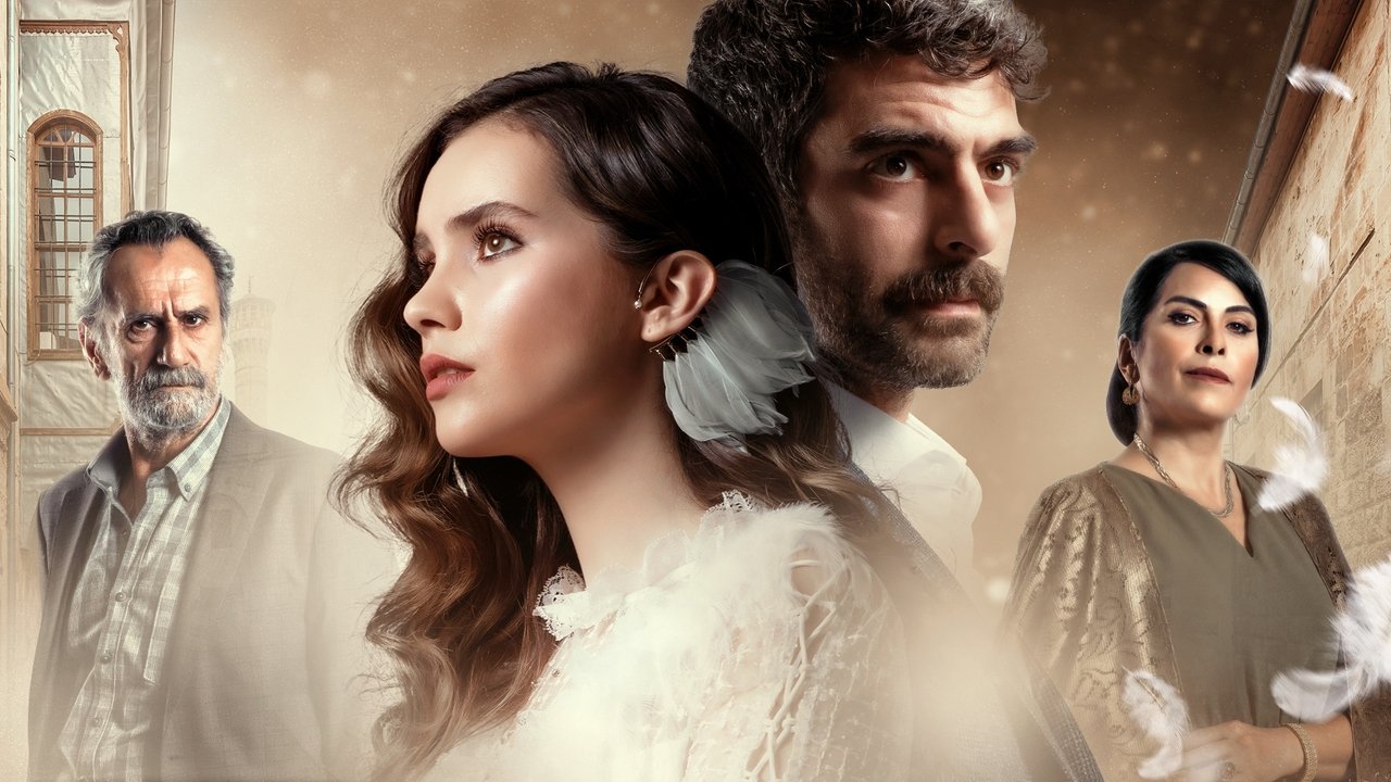Кадры из Голубка (2019)