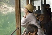 Разрисованная вуаль (2006)