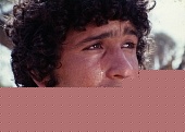 Цветок тысяча и одной ночи (1974)
