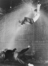 Бойцовая рыбка (1983)