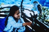 Прятки с наличными (1994)