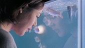 Шири (1999)