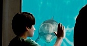 История дельфина (2011)