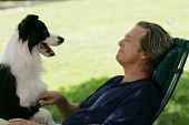 Собачий год (2009)