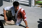 Каратель (2004)