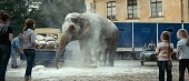 Слон (2010)