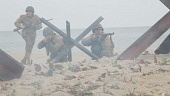 Красная роза Нормандии (2011)