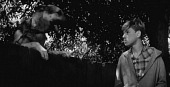 Пропало лето (1964)