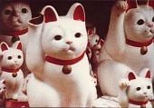 Без солнца (1983)