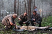Стальная бабочка (2012)