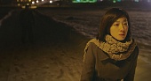 Чёрный уголь, тонкий лёд (2014)