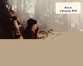 Пикник у Висячей скалы (1975)