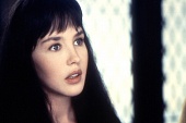 Дьявольщина (1996)