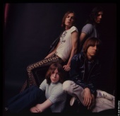 Gimme Danger. История Игги и The Stooges (2016)