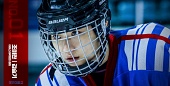 Государственный представитель 2 (2016)
