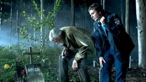 Странные звонки (2012)