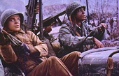 Соль на рану (1969)